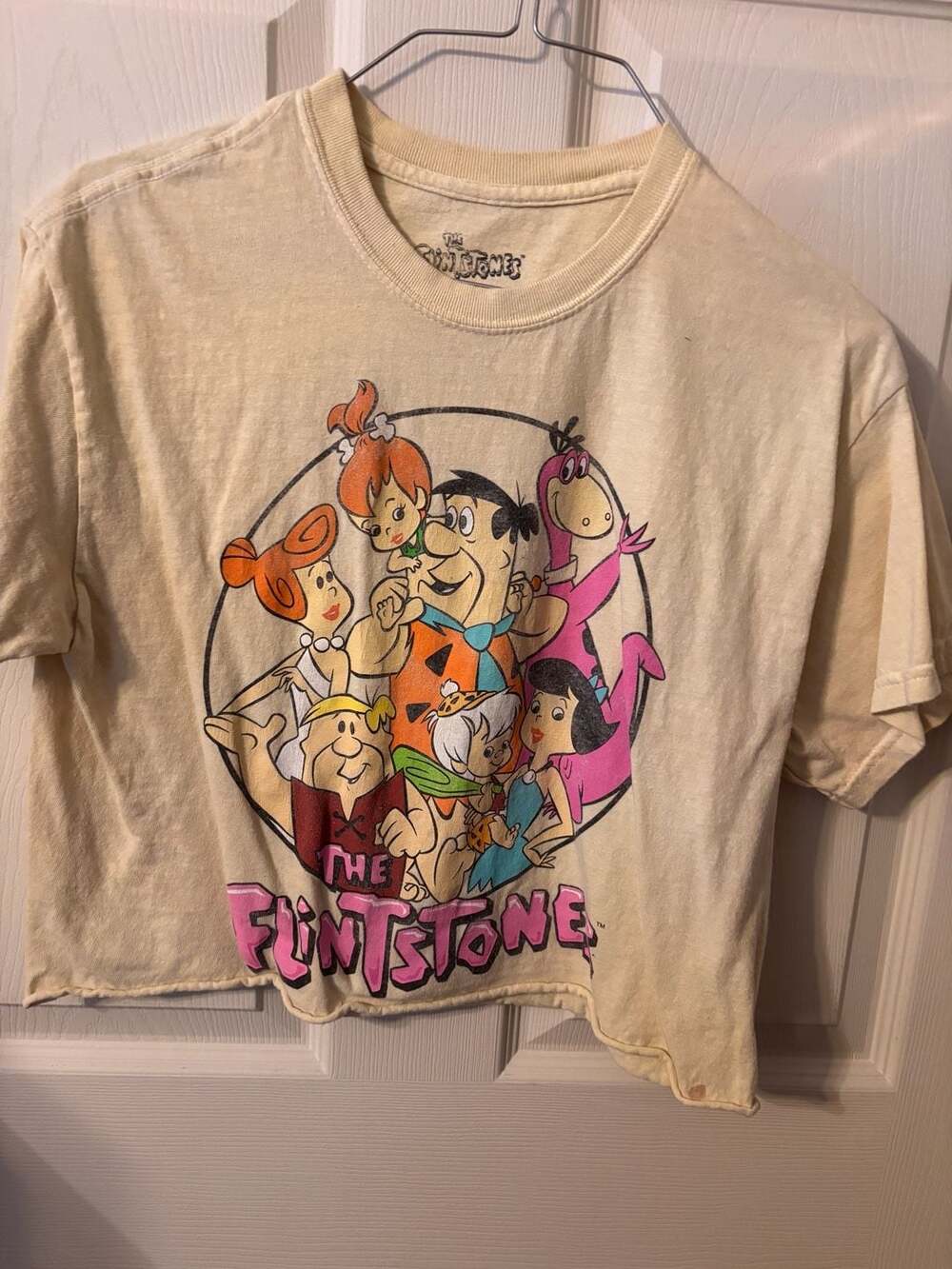The Flintstones T-Shirt Size M Group Graphic Natural Crop Top